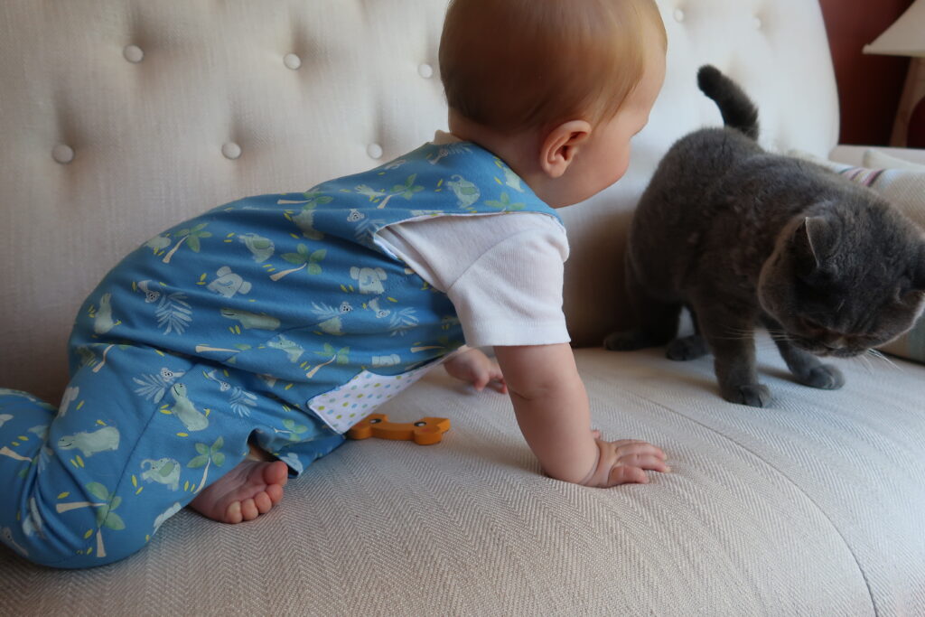 lulu-baby-with-kitten
