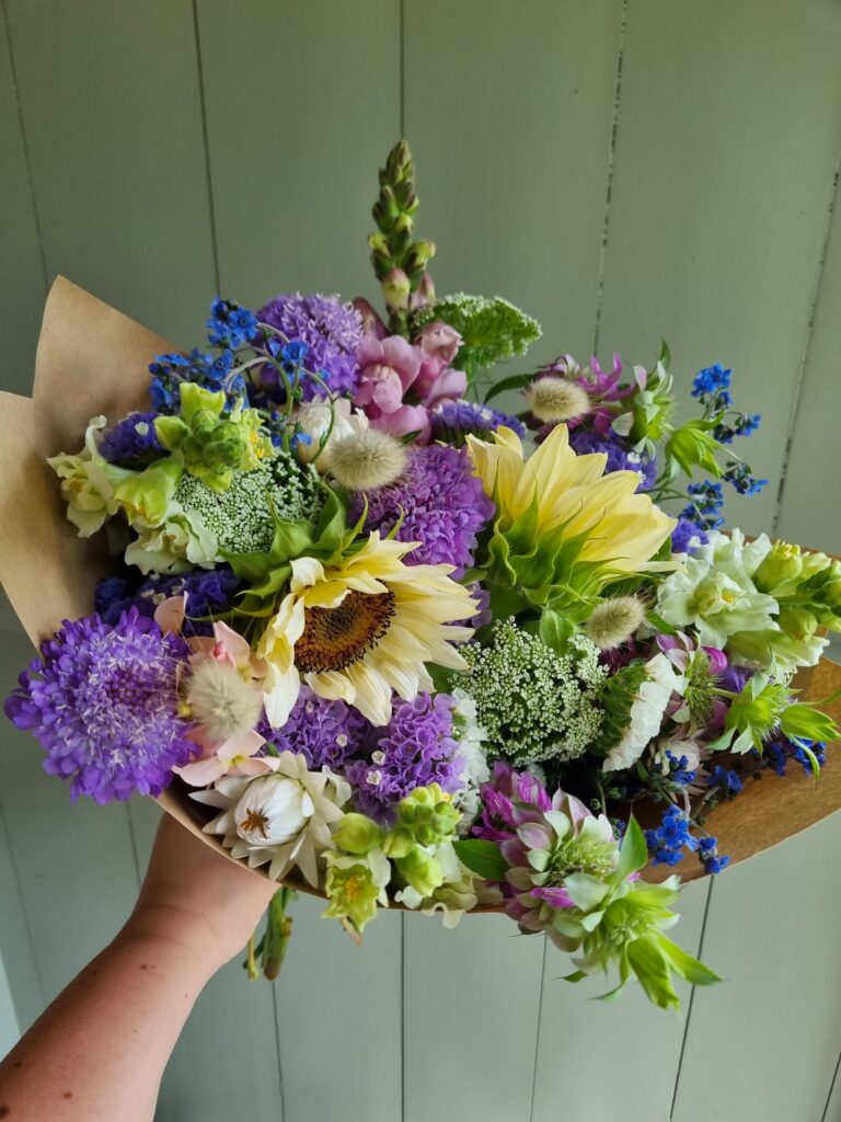 Bumble_Iris_Flowers