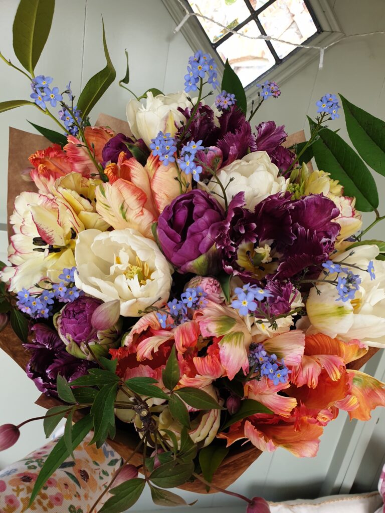 Bumble_Iris_flowers2