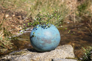 Thyme and Space