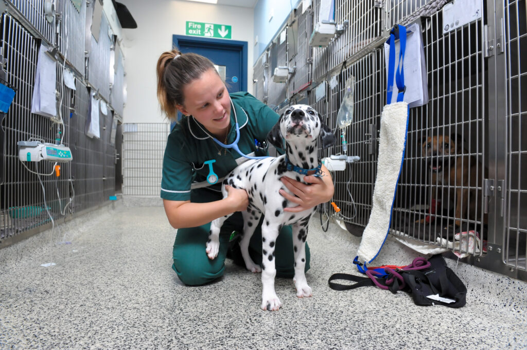 Eastcott Vets
