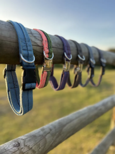 Gone Wild Dog Shop