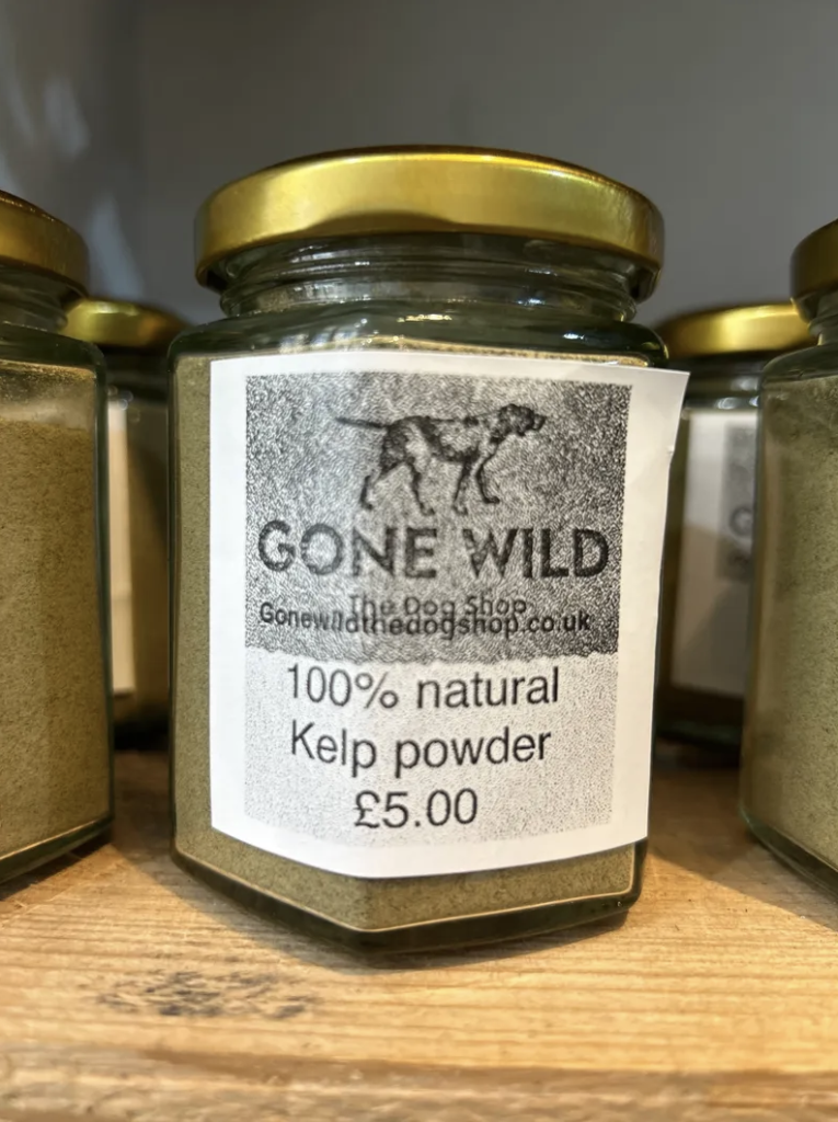 Gone Wild Dog Shop